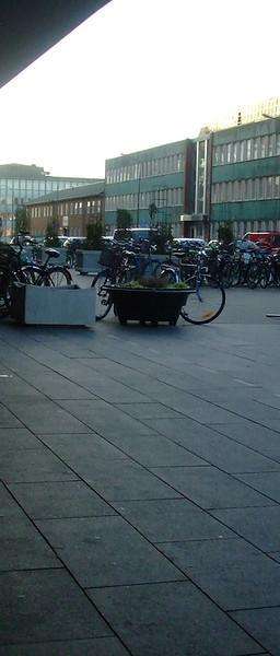 Generator electric benzină 3 kW