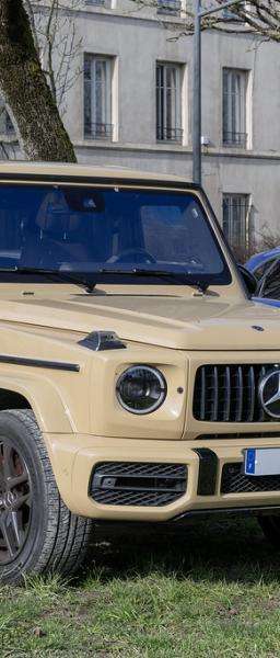 Cărucior transport sarcină 250 kg